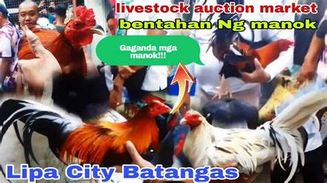 Dito Ka Talaga Makakabili Ng Madami Quality Manok Lipa City Batangas