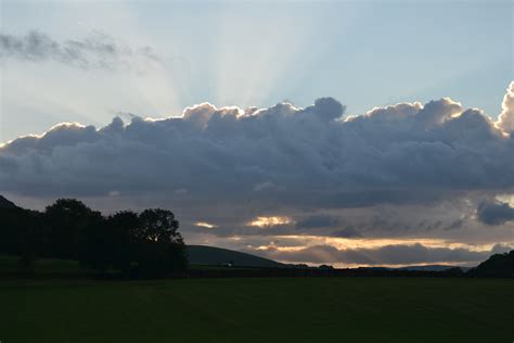 Free Images Landscape Tree Nature Grass Horizon Cloud Sky Sun