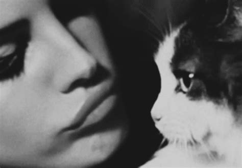 Why Women Won T Use Nicknames For Vagina Is It Because Of Shame YourTango