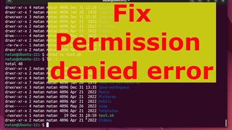 How To Fix Permission Denied Error In The Terminal And Command Prompt