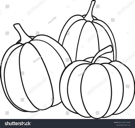 Group Halloween Pumpkins Outline Vector Stock Vector Royalty Free