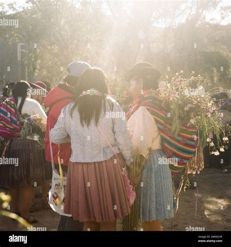 Atacama Plateau Desert Carnival Tradition Traditional Costume Latin