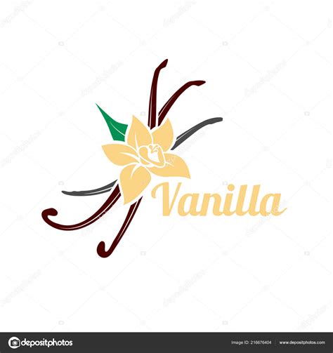 Flor Vainilla Vainas Icono Vectorial Silueta Aislada Sobre Fondo Blanco