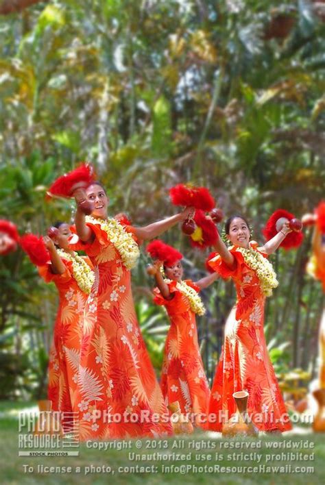 Hawaiian Dancers Polynesian Dance Hula Dance