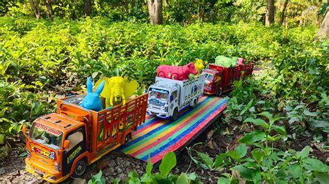 Mobil Truk Oleng Angkut Induk Sapi Gajah Kelinci Warna Warni YouTube