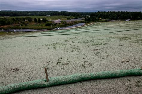 Hydromulch Willowlee Sod Farms