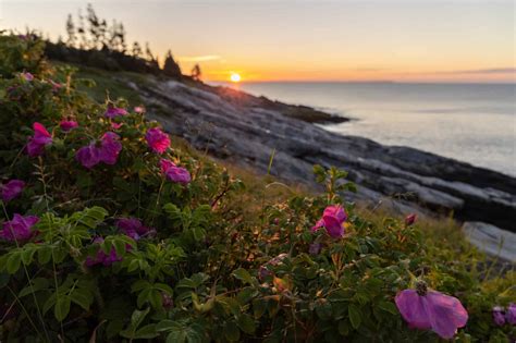 Where To Watch The Sunrise In Maine 10 Best Spots New England With Love