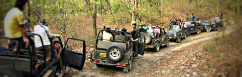 Jeep Safari Day Visit Jungle Safari Online Booking Jim Corbett