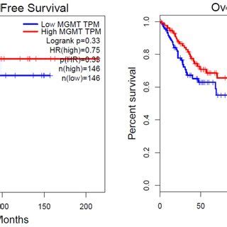 A Negative Correlation Between The MGMT MRNA Expression And MTMG