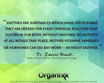 3 Essential Types of Enzymes Our Bodies Need to Function Well – Organixx