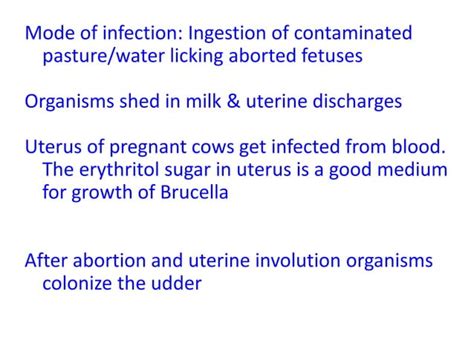 Lecture 12 Bovine Infectious Infertility Ppt