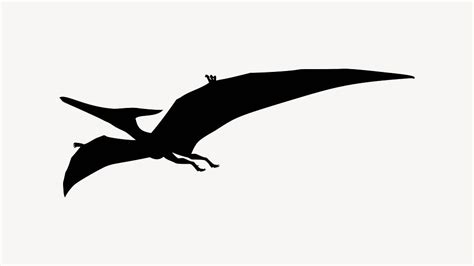 Pteranodon Dinosaur Silhouette Illustration Free Free Photo Rawpixel