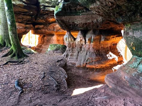 Rock Formation Altschlossfelsen In Palatinate Forest Near Eppenbrunn