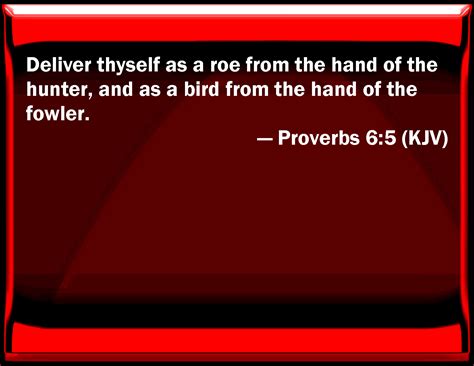 Proverbs 6 5 Deliver Yourself As A Roe From The Hand Of The Hunter And