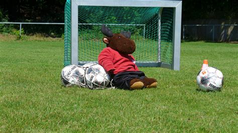 Fußballzwerge TuS Fleestedt bietet Training für ganz Kleinen