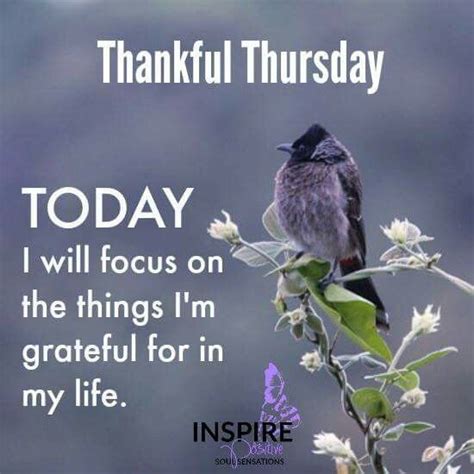 Thankful Thursday Positive Quote Thankful Thursday Happy Thursday