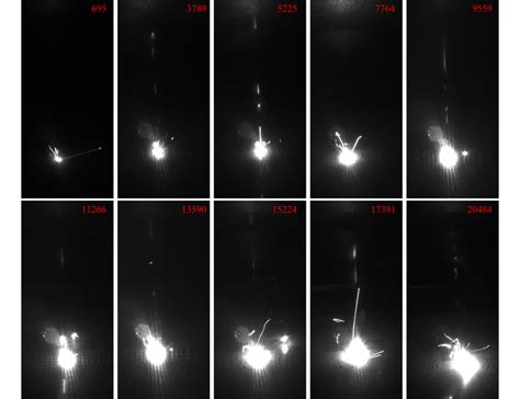 splatter images   splatter areas measured  units