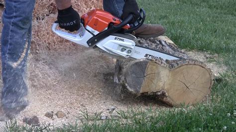 Stihl MS261C Chainsaw New Edition Brand New Very First Cuts YouTube