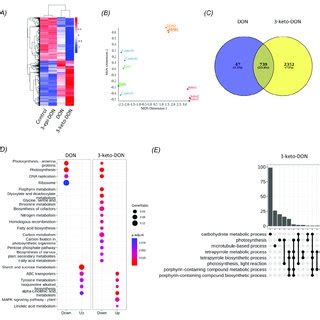 Figure A Significantly Enriched Kegg Pathways Associated With L