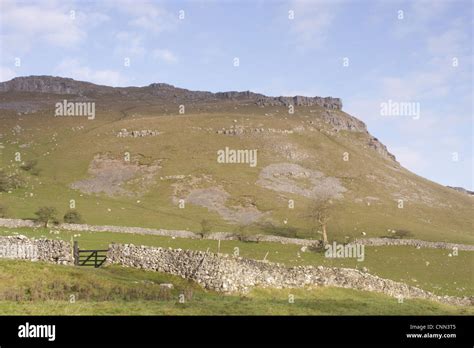 View Limestone Drystone Walls Gate Hillside Gordale Malhamdale