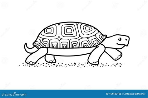 Outline Vector Cute Land Tortoise With Patterned Shell Side View