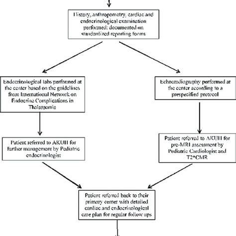 Patient Flow Diagram Akuh Aga Khan University Hospital T2 Cmr T2