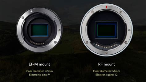 Canon EOS R10 vs M50 mark II - The 10 main differences - Mirrorless ...