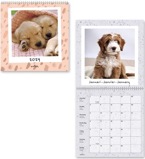 Hallmark Maandkalender 2024 Honden Spiraalgebonden 29 X 29cm