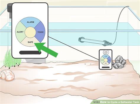 3 Ways To Cycle A Saltwater Tank Wikihow