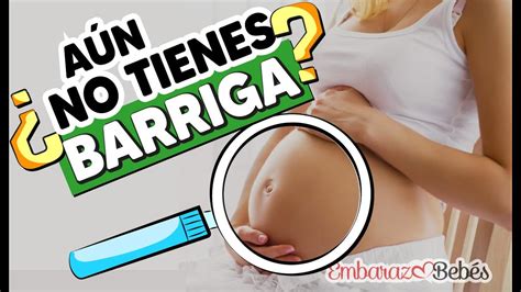 CUÁNDO se empieza a NOTAR LA BARRIGA durante el embarazo YouTube