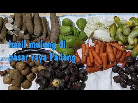 AMBIL SISA DARI PEDAGANG UBI KAYU JENGKOL KENTANG DI PASAR RAYA PADANG