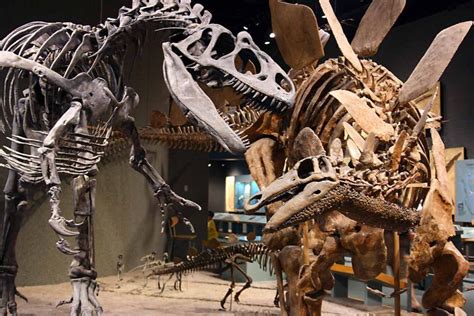 A First Look at the New Dinosaur Exhibit at the Denver Museum of Nature ...