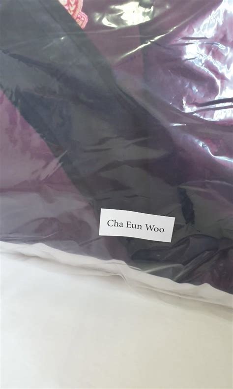 Cha Eun Woo Pillow From True Beauty Hobbies Toys Memorabilia