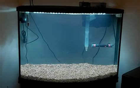 Enhance Your Aquarium Display With A Stunning 36 Gallon Bow Front ...