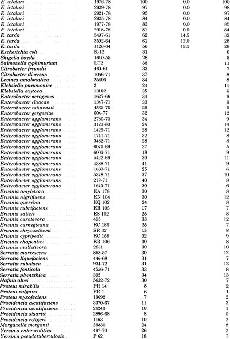 Dna Relatedness Of E Ictaluri Strain Ga Cdc To Other