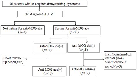 Frontiers Clinical And Neuroimaging Characteristics Of Pediatric