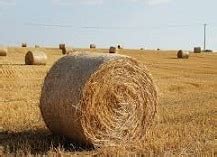 O Que Significa Fardo - Fardo - Qué es, definición y concepto
