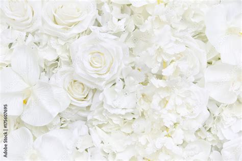 White Floral Wallpaper Phone Denaro Wallpapers