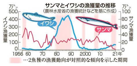 画像・写真：不漁と高値続くサンマ、豊漁復活のカギはイワシが握っている？【大漁！水産部長の魚トピックス】33：時事ドットコム