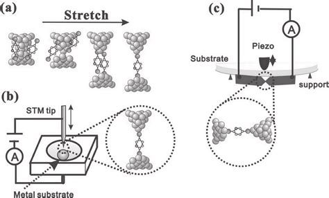 A Schematic Illustration Of The Formation Process Of A Single