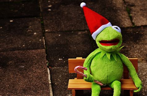 Kermit Frog Christmas Santa - Free photo on Pixabay - Pixabay