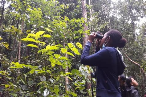 Promosikan Wisata Birdwatching Kemenparekraf Bidik Lima Pasar Ini