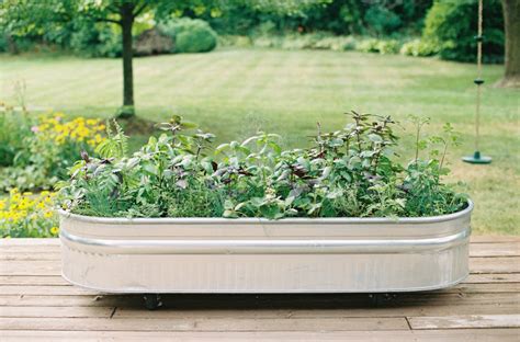 The Complete Guide To Raised Beds Gardenary