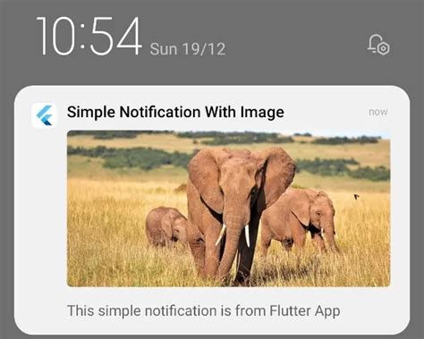 How To Show Local Notification In Flutter App