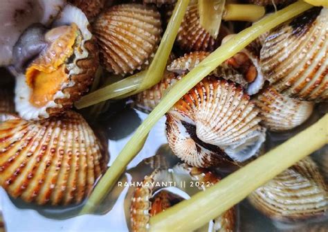 Resep Tuday Rebus Kerang Dara Rebus Sereh Oleh Rahma Cookpad