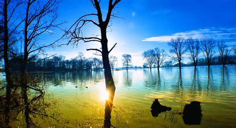 Hintergrundbilder Sonnenlicht Bäume Landschaft Sonnenuntergang