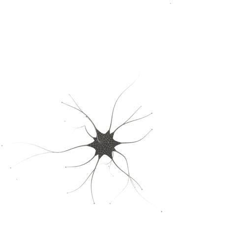 neuron cell animation ready 3d model