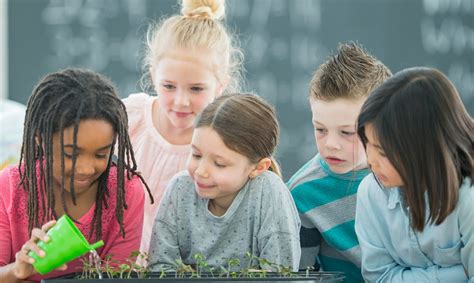 La Importancia De Ense Ar Altruismo En La Escuela Primaria