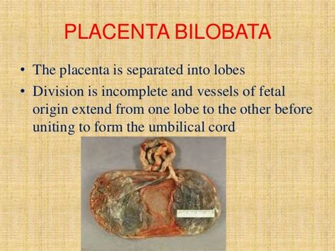 Placental Pathology