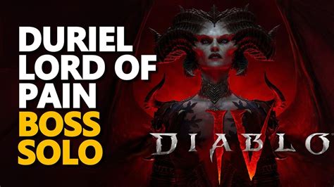 Diablo Duriel Lord Of Pain Boss Solo Youtube